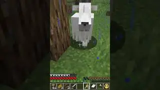 Stubborn Screaming Minecraft Goat Attacked Me! #shorts