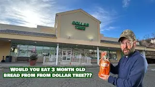 Would You Eat 3 Month Old Bread from Dollar Tree???