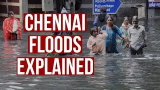 Why Chennai floods | TNM Explains
