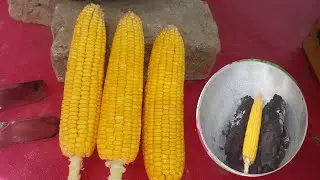 Sweet Corn Makai,