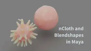 Using nCloth to make Blendshape targets in Maya
