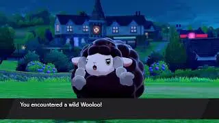 black sheep