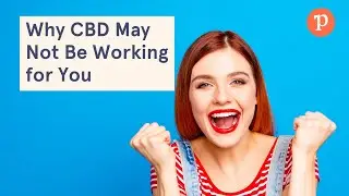 Does CBD Oil Work? | Why CBD May Not Be Working for You