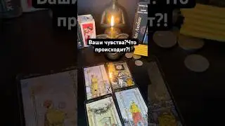 Ваши чувства?!Что происходит?! #егомысли Запись на личную консультацию +79046707505 Карина