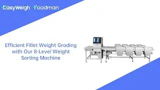 Efficient Fillet Weight Grading with Easyweigh 8-Level Weight Sorting Machine