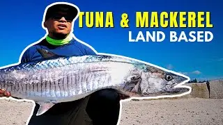 Tuna & Spanish Mackerel Land Based [Part 2]