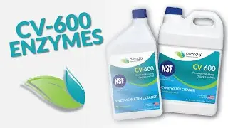 CV-600 Enzyme Water Cleaner | Orenda Products