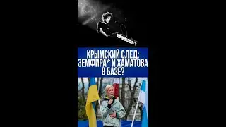 Земфира* и Хаматова в чёрном списке: за что Украина объявила им войну? Подробности