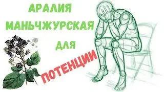 Аралиия для потенции: инструкция по применению, цена и приготовление.