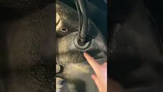 Лада Гранта вода со стороны водителя