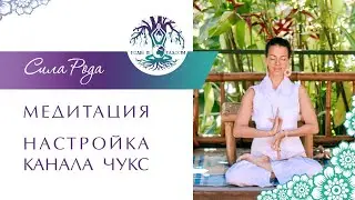 Исцеляющие Вибрации Любви ✧ Повышаем вибрации Безусловной Любви. Настройка канала Чукс.