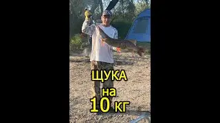 Река Лозьва щука на 10 кг.