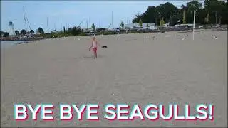 RC TRUCK SAYS "GET OUTTA HERE SEAGULLS!"