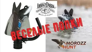 Lucky Agitator HDI Review