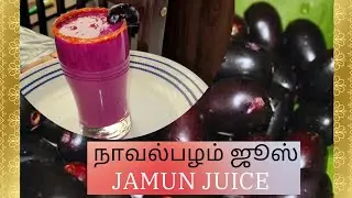 நாவல்பழம் ஜூஸ் || Jamun Juice #jamun #juice