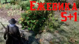 Ежевика 5 - red dead online