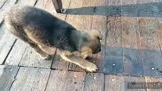 Последний осенний выезд 2020