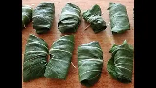 Schnippelboy --- Pak Choi gefüllt