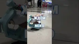 Новинки  30 недели в неко 