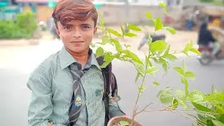 14 August VloG & GreeN Pakistan #independenceday #myfirstvlog