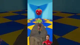 Spider-Man Vs Hacker