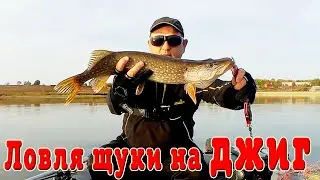Осенняя рыбалка на щуку. Щука на джиг.....
