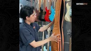 Gigbag Varian Warna Terbaru DBM X-LITE