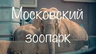 Московский зоопарк