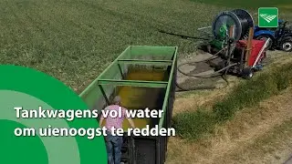 Tankwagens vol water om uienoogst te redden