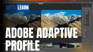 ใช้ AI ในการปรับปรุงภาพด้วย Adobe Adaptive Profile