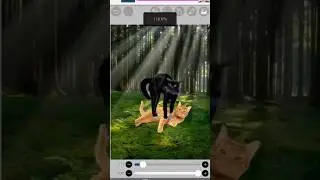 Коты-Воители|МЕМ|