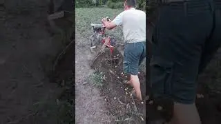 Уборка картофеля мотоблокам