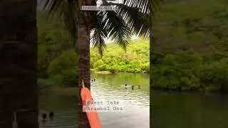 Goa lake - arambol - sweet lake 