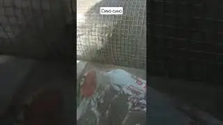 Как быстро просеять песок