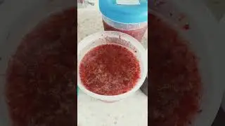 заготовка ягод на зиму