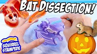 Dissect It Synthetic Dissection Kit Review - We Dissected a Bat and Salamander!