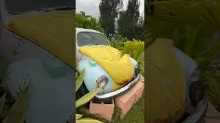 Florida #usacar #аукционсша #аукционавтовсша #автоизсша #майами #classiccars #контейнеры
