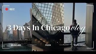 CHICAGO VLOG! exploring, field museum, deep dish pizza gem , best bagels, sky deck and more!!