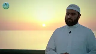 ШоIип: Тоба дар