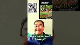 Abacateiro em vaso, É possível? #robertotakane #livrosubstratotecnico