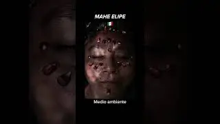 Los mejores fotógrafos del año 