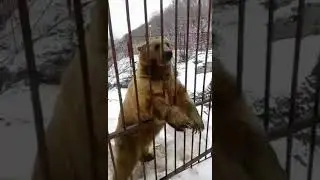 VID 20180722 WA0003