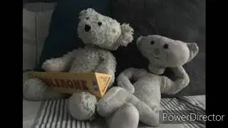 Bear and Sam Chilling