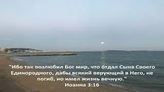 Читать Библию за год - День 203