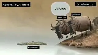 Дагестан и короновирус