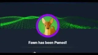 HackTheBox Walkthrough:  Fawn - Starting Point 2