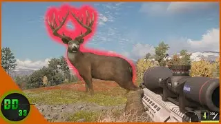 We Had Our Greatest Day Ever on Revontuli Coast! Call Of The Wild