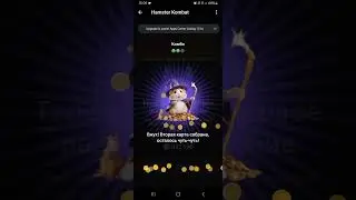 15-16 июня Комбо карты в Hamster Kombat