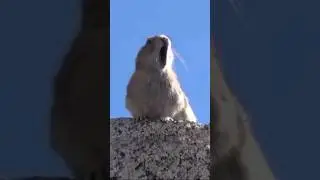 Саня, ты в порядке?