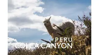 Hiking Colca Canyon: 3 days / 2 nights